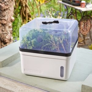 Self-watering kitchen propagator - white