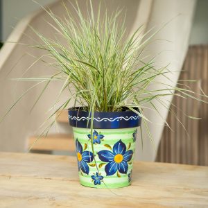 Verde 15Cm Pot Set Of 3