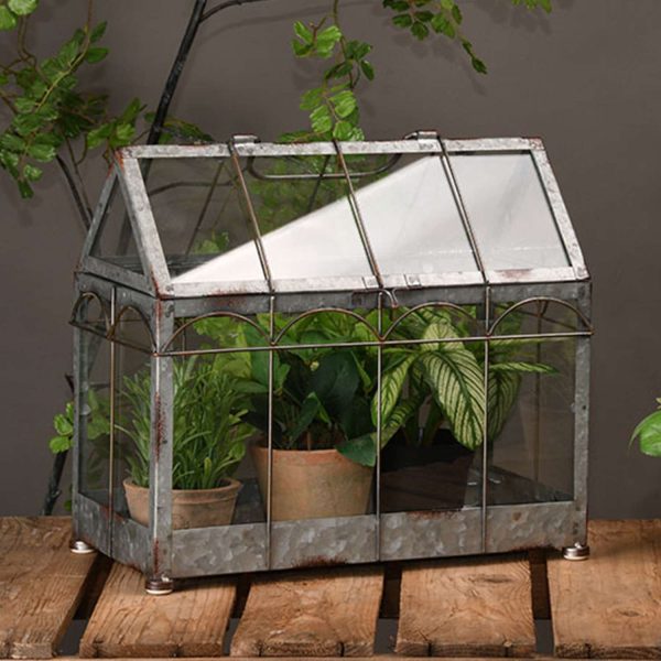 Victorian Greenhouse Meduim