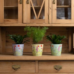 Bamboo Eco Pot - Meadow Set of 3