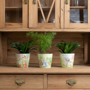 Bamboo Eco Pot - Winkle Tod Mcgregor Set of 3