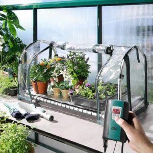 Bio Green Grand Top Digital Propagator