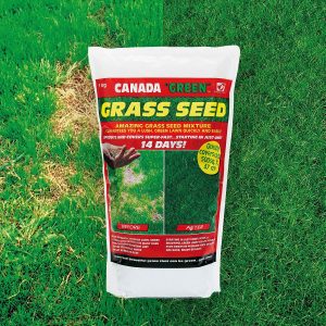 Canada Green Grass Seed 1Kg