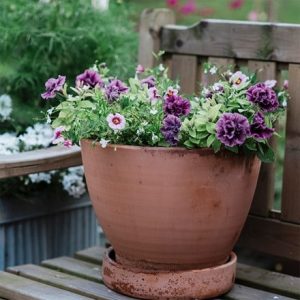 Candy Stripe - Easyplanter for hanging baskets & patio pots