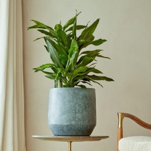 Ceramic textured plant pot - steel grey