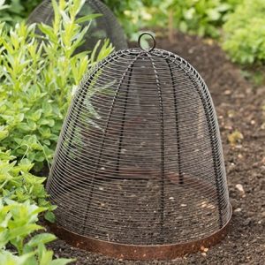 Copper rimmed cloche - bronze