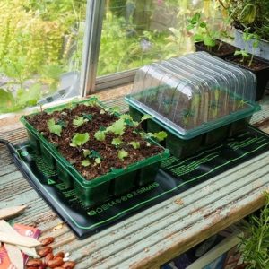 Electric heated propagation mat