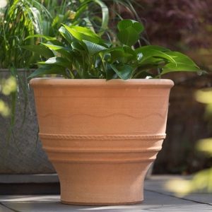 Exara terracotta pot