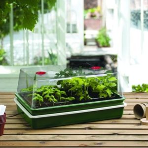 Extra large high dome electric propagator 24W