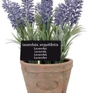 Fallen Fruits Artificial Lavender In Terracotta Pot (Size L)