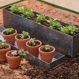 Galvanised metal box with ten grow pots