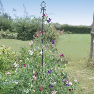 Garden maypole plant support