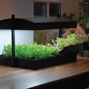 Garland Grow Light Garden