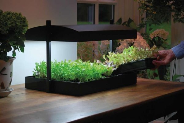 Garland Grow Light Garden