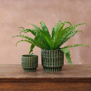 Geometric glazed plant pot - green