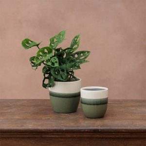 Glazed ombre plant pot - green