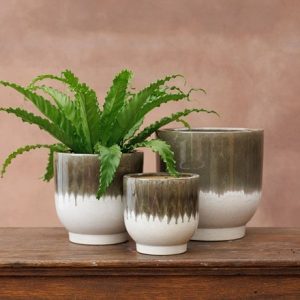 Glazed ombre plant pot set of 3 - green & ivory