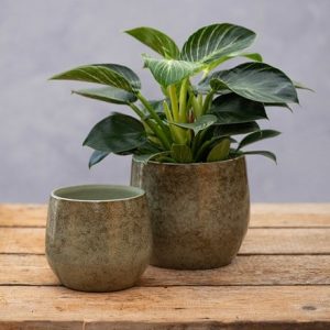 Glazed speckled plant pot - green