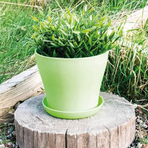 Green Plastic Plant Pot 13X10Cm