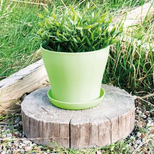 Green Plastic Plant Pot 16X12.5Cm