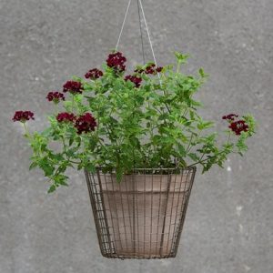 Hanging pot basket