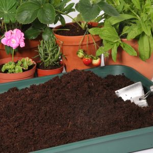 Haxnicks Coir Compost Block