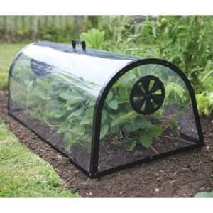 Haxnicks Kitchen Garden Cloche