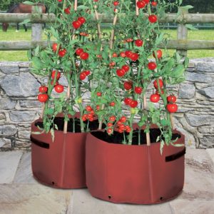 Haxnicks Tomato Patio Planter 2Pk