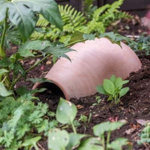 Hedgehog house / pot