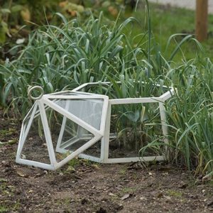 Hexagonal lidded cloche