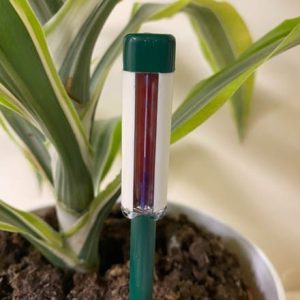 Houseplant watering indicator