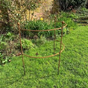 Hydrangea & large plant support - rust