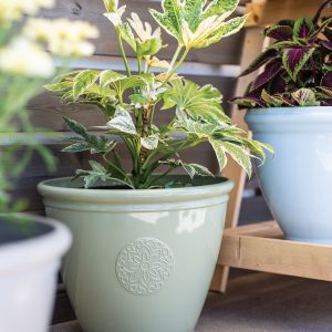 Kelkay Traditonal Collection Eden Emblem Small Pot (Green)