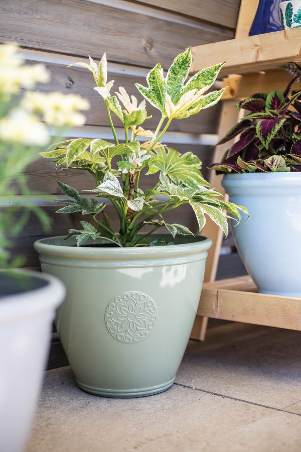 Kelkay Traditonal Collection Eden Emblem Small Pot (Green)