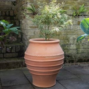 Koronios terracotta pot