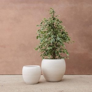 Large textured plant pot - white