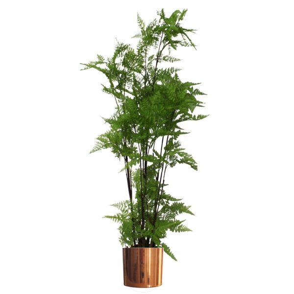 Leaf Design 150cm Artificial Natural Moss Base Fern Foliage Plant with Copper Metal Plater