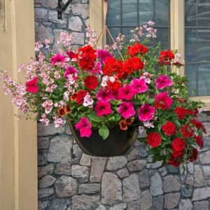 Lipstick - Easyplanter for hanging baskets & patio pots