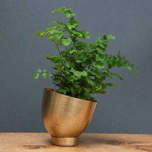 Mini brass tilting pot with saucer