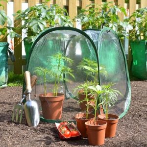 Mini pop up mini greenhouse cloche