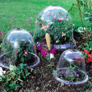 Original Victorian Bell Cloche Pack of 3