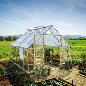 Palram-Canopia 10x12 Balance Greenhouse (Extended Silver)