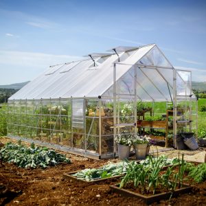 Palram-Canopia 10x20 Balance Greenhouse (Extended Silver)