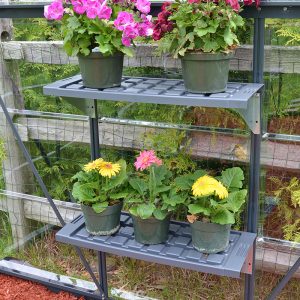 Palram Canopia Greenhouse Shelves x2