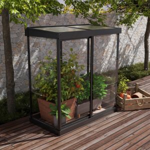 Palram-Canopia Ivy Polycarbonate Greenhouse (Black)