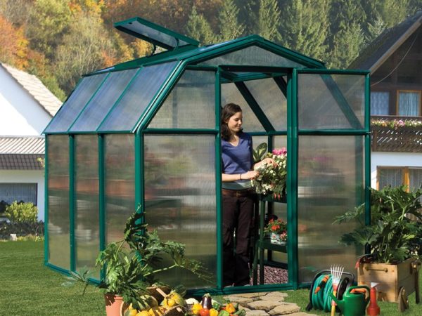 Palram-Canopia Rion Eco 6X10 Greenhouse