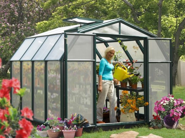 Palram-Canopia Rion Hobby 8X16 Greenhouse