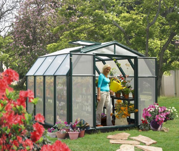 Palram-Canopia Rion Hobby 8X8 Greenhouse