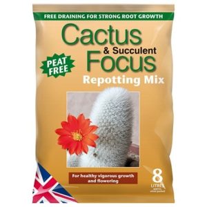 Peat-free cacti and succulent potting mix