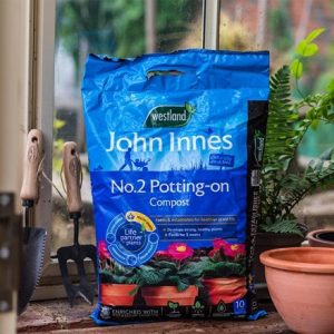 Peat free potting on compost with John Innes No.2